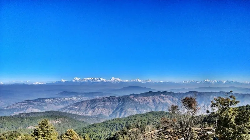 A serene forest viewpoint offering panoramic Himalayan vistas (6 km)