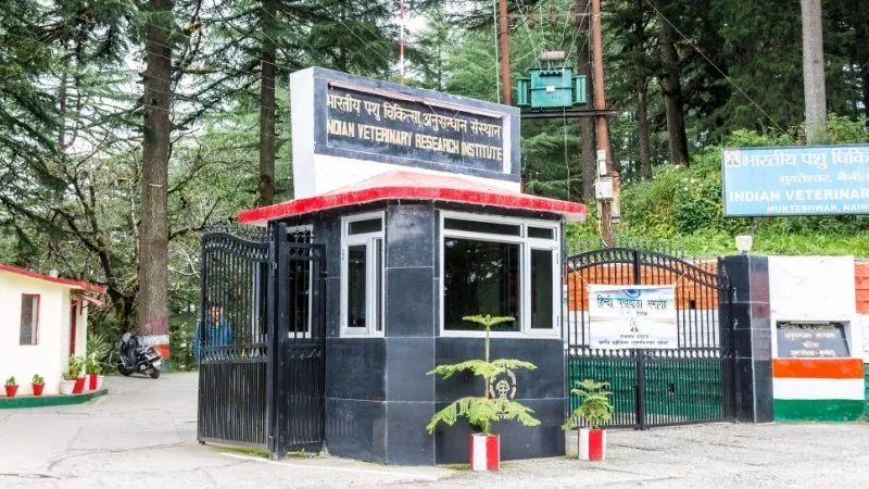 A quiet heritage campus and museum (5 km)